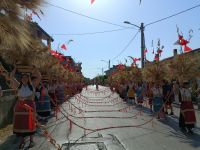 IMG20240816094148