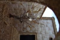 IMG_0757